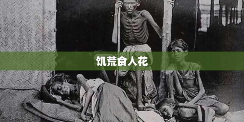 梦见屋里地下长满花草