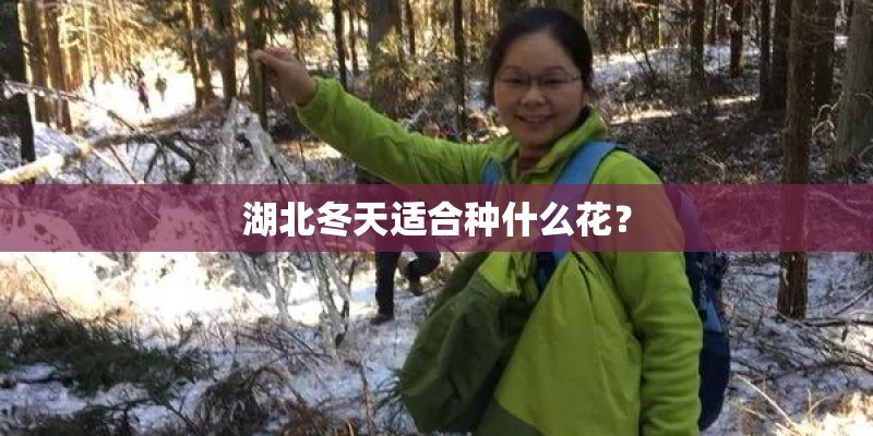 春节家里适合放什么花