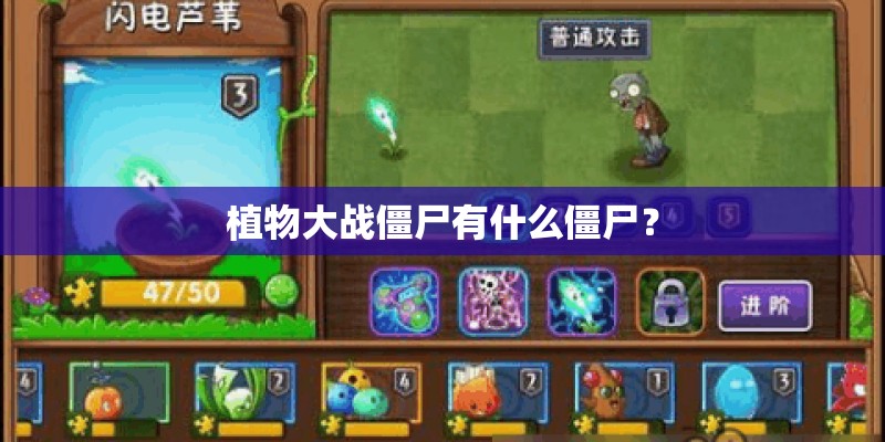 春节家里适合放什么花