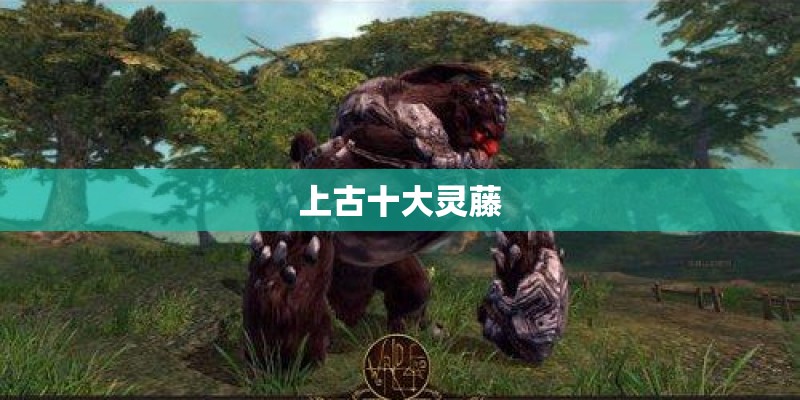 秋天入侵的一种植物