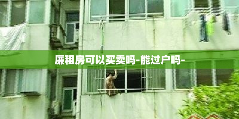 春节家里适合放什么花