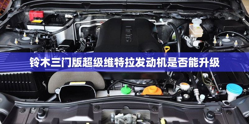 春节家里适合放什么花