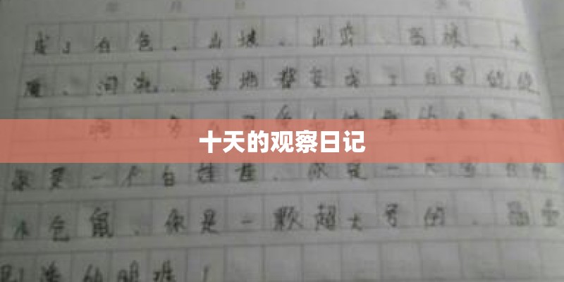 春节家里适合放什么花