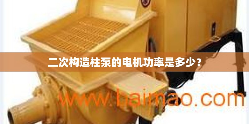 春节家里适合放什么花