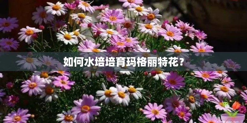 秋天入侵的一种植物