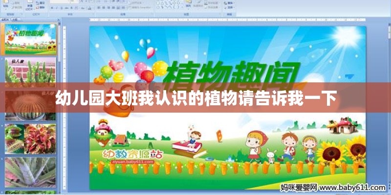 春节家里适合放什么花