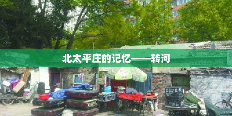 小玫瑰花的养殖方法和注意事项