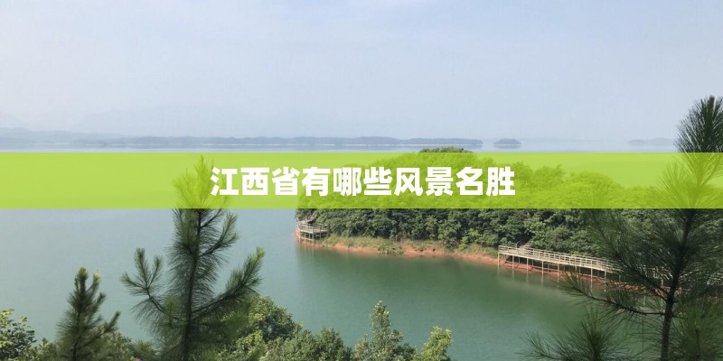 叶子像珊瑚的植物种子像南瓜叫什么