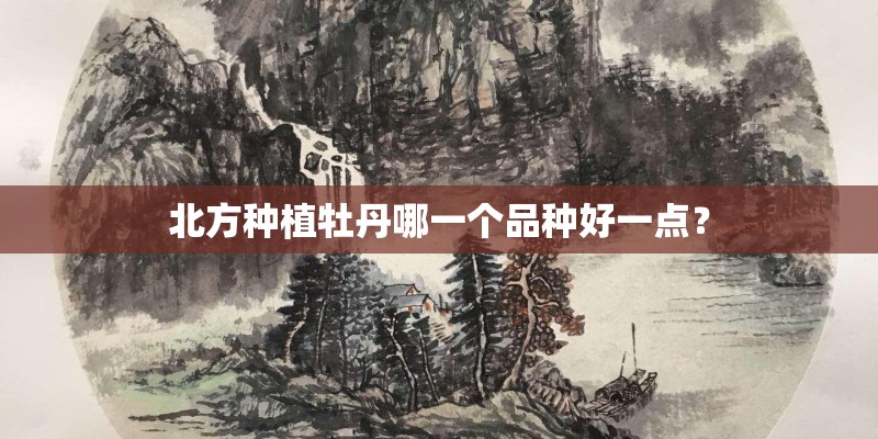 北方种植牡丹哪一个品种好一点？