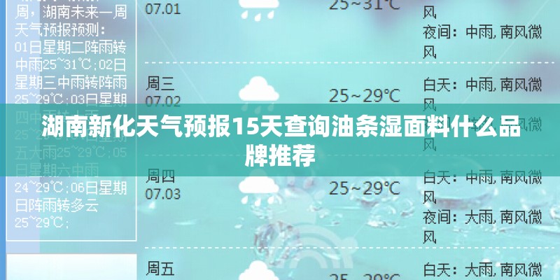 湖南新化天气预报15天查询油条湿面料什么品牌推荐