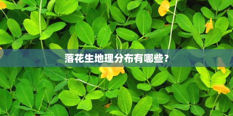 落花生地理分布有哪些？