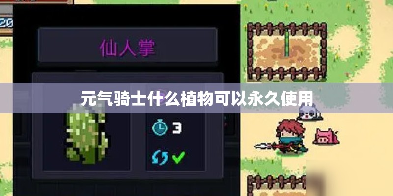 胡麻的田间管理技巧有哪些？