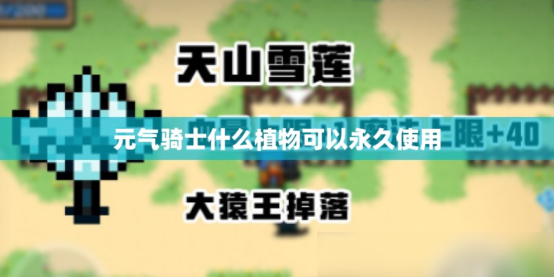 元气骑士什么植物可以永久使用