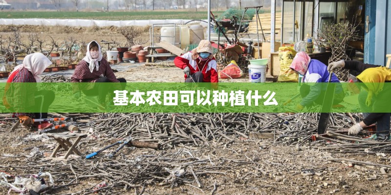 上海风险地区有哪些？