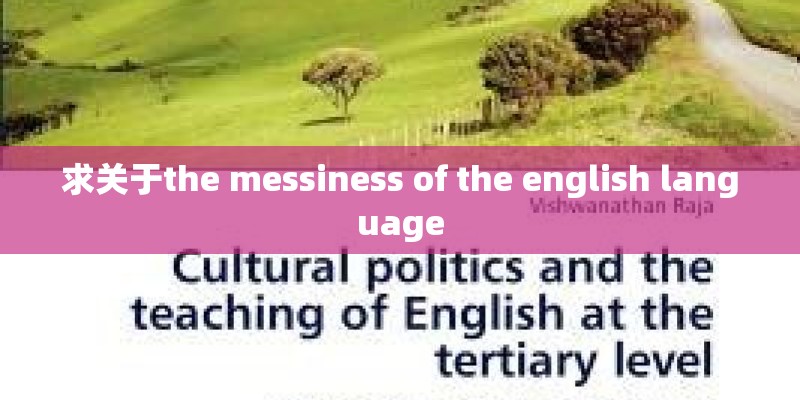 求关于the messiness of the english language