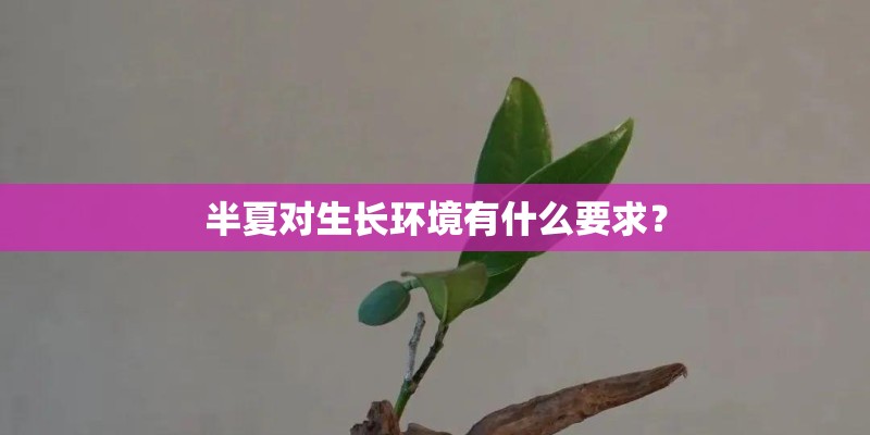 半夏对生长环境有什么要求？