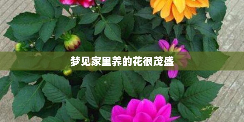 半夏对生长环境有什么要求？