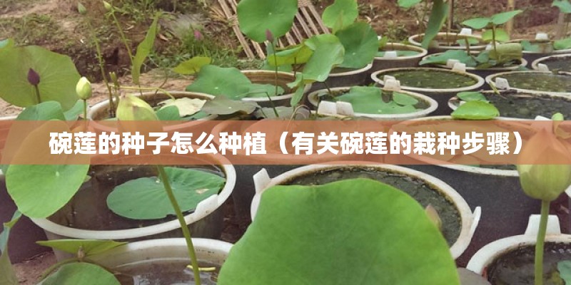 于都一周天气