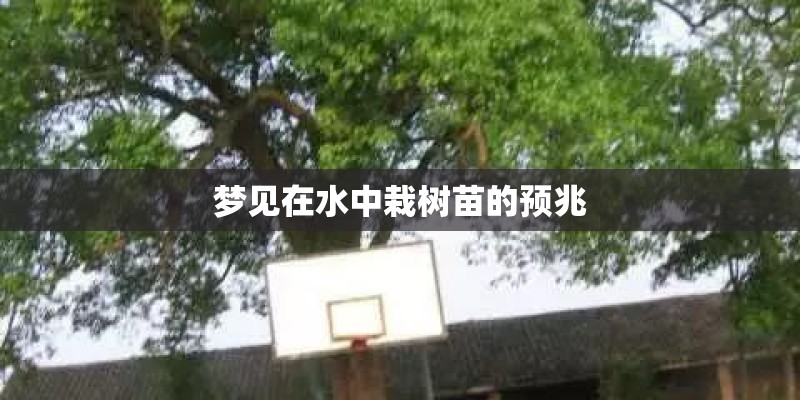 国外人像摄影大师作品欣赏