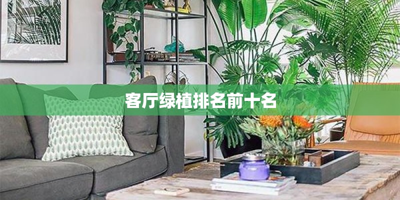 客厅绿植排名前十名
