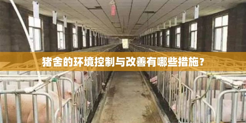 猪舍的环境控制与改善有哪些措施？