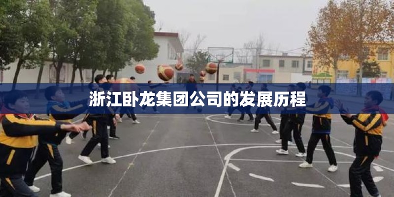 浙江卧龙集团公司的发展历程