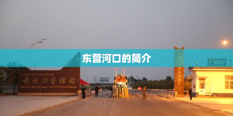 东营河口的简介