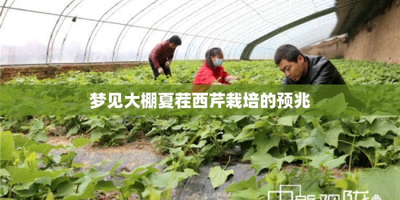 东方财富股吧人气榜怎么得出来的