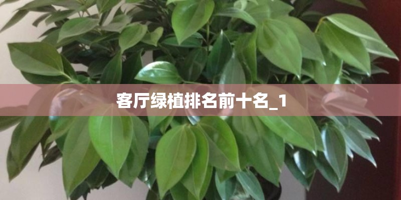 日产v8是什么车