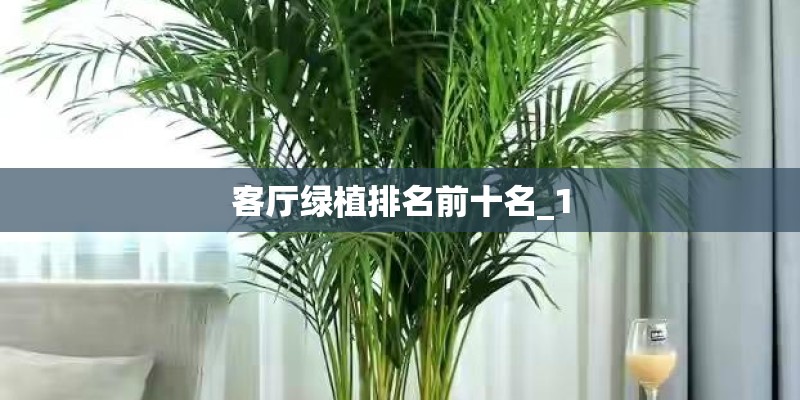 客厅绿植排名前十名_1