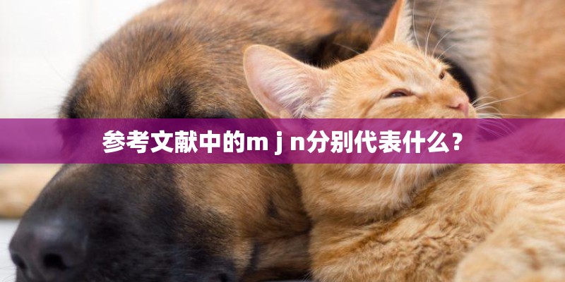 参考文献中的m j n分别代表什么？