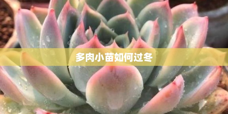 乐山二手房交易税怎么收？