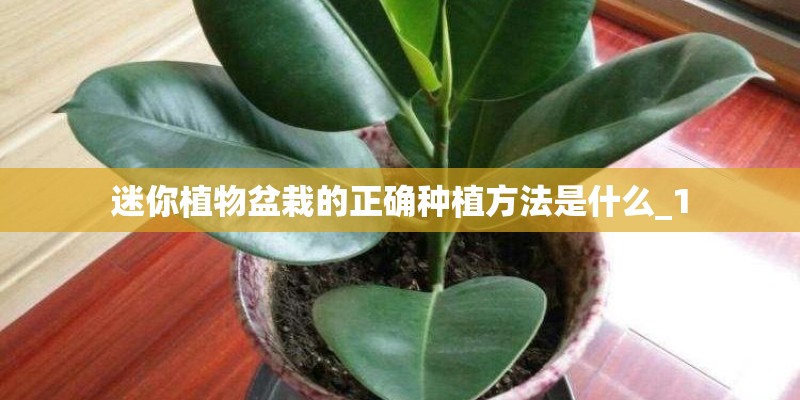 经典3至6岁简短小故事（十篇）