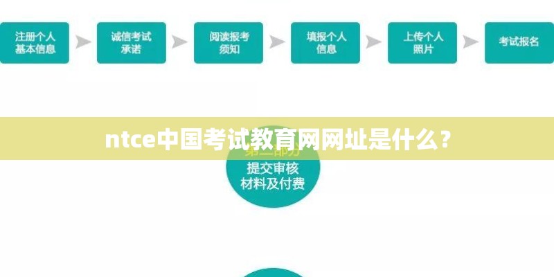 夏天种什么植物比较合适