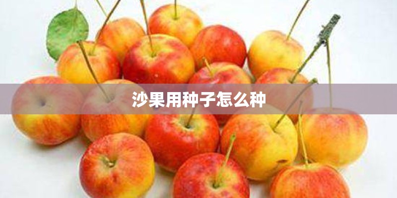 江西省有哪些风景名胜