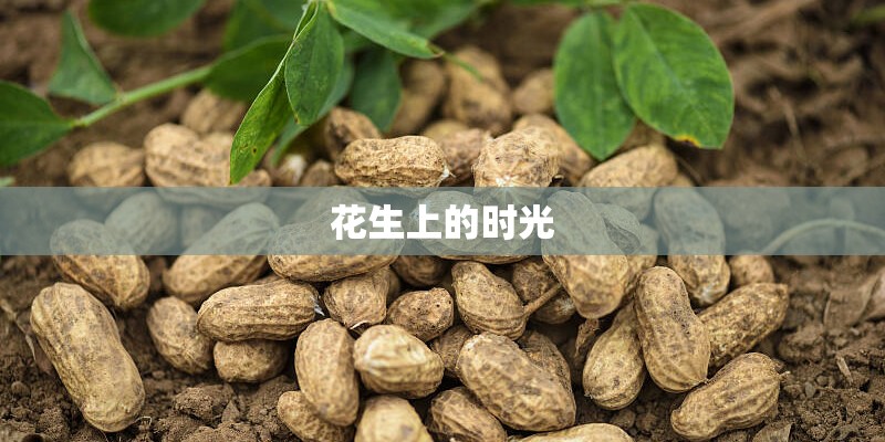 合肥蜀山区房价多少一平年蜀山区有哪些热门楼盘