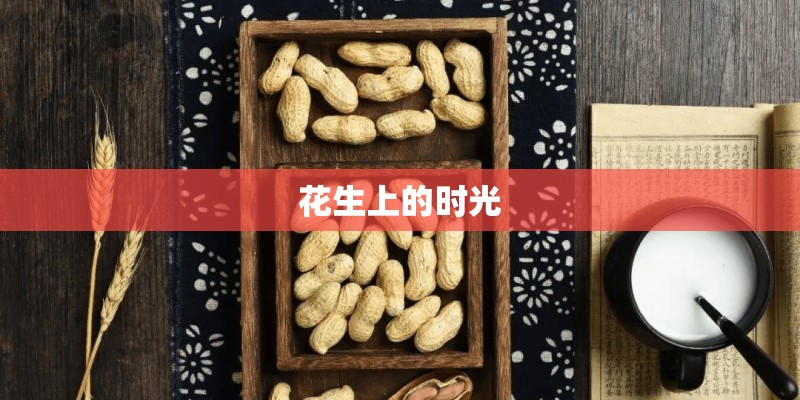 花生上的时光