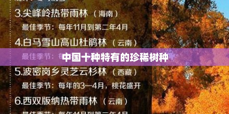 中国十种特有的珍稀树种