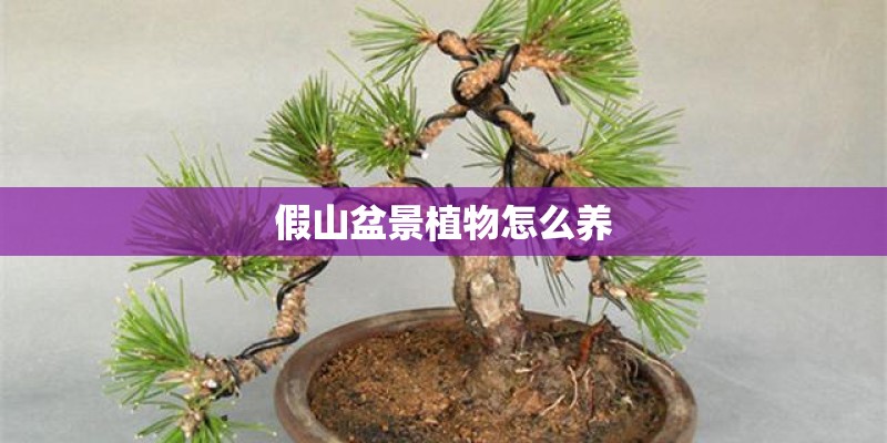 威驰FS最新报价_1