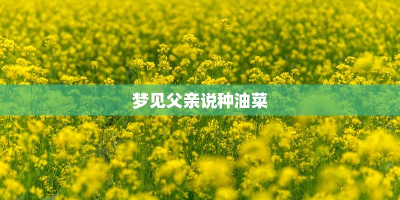 人民日报的“社论”和“评论员文章”的区别