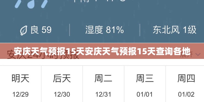 银杏盆景苗如何培育？