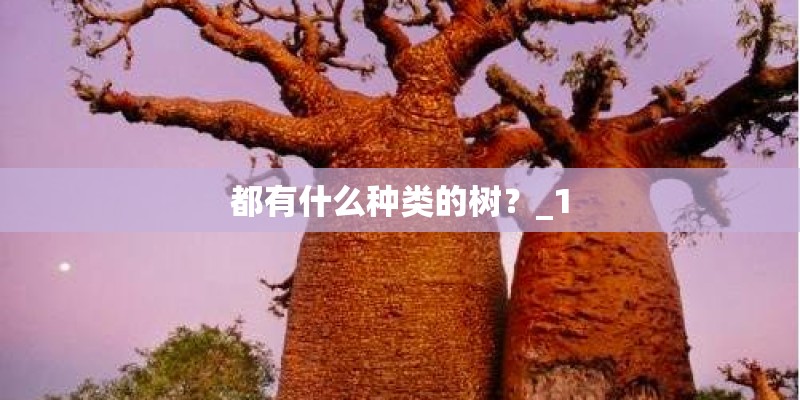 奔驰e300l提车要多久
