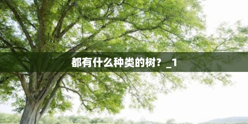 都有什么种类的树？_1