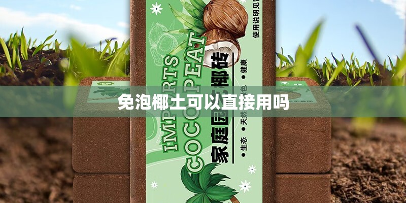 银杏盆景苗如何培育？