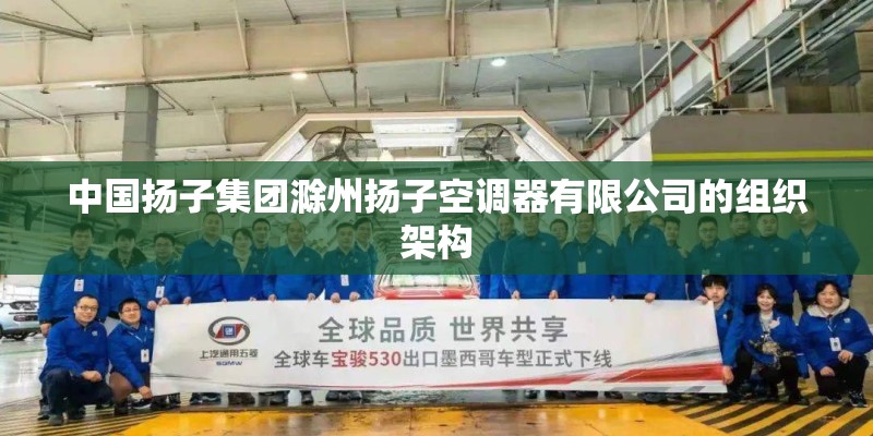中国扬子集团滁州扬子空调器有限公司的组织架构