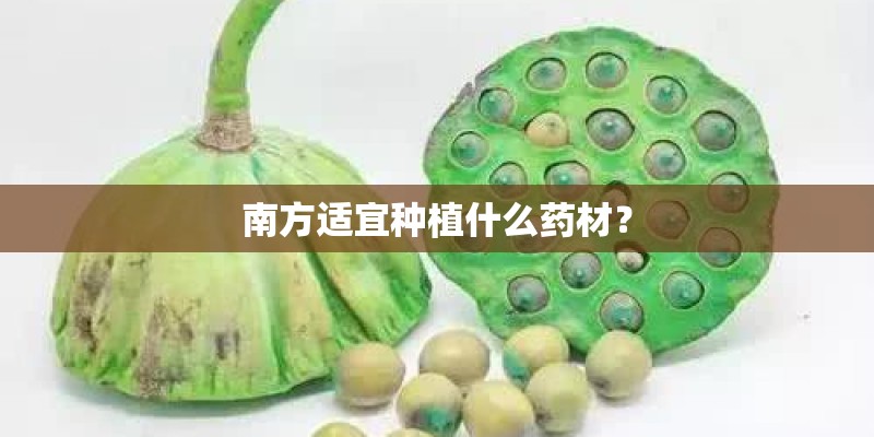 成都正规搬家公司的收费标准