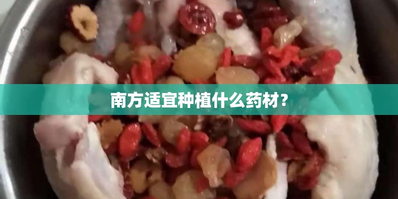 南方适宜种植什么药材？
