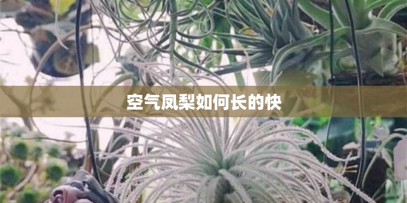 4月份九寨沟穿什么衣服_1