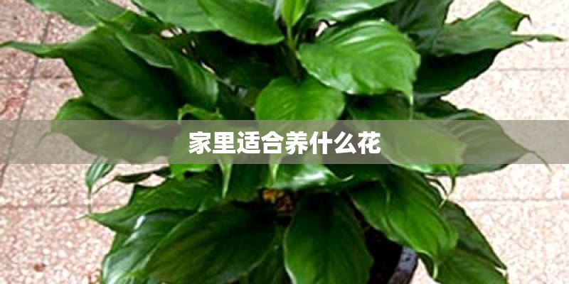 4月份九寨沟穿什么衣服_1