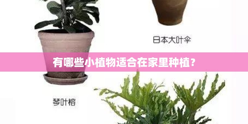 五菱凯捷6座最低价格是多少钱？